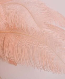 Feather Lamp Closeup