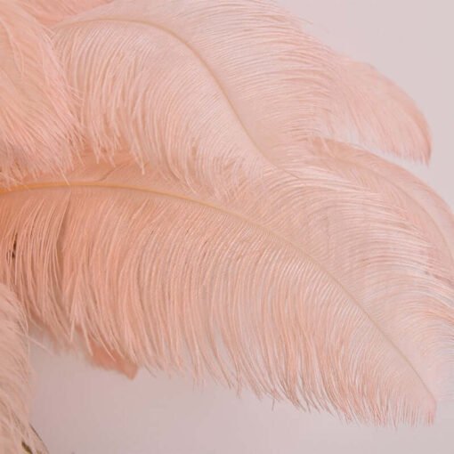 Feather Lamp Closeup