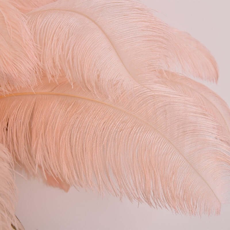 Feather Lamp Closeup Feather Lamp Closeup